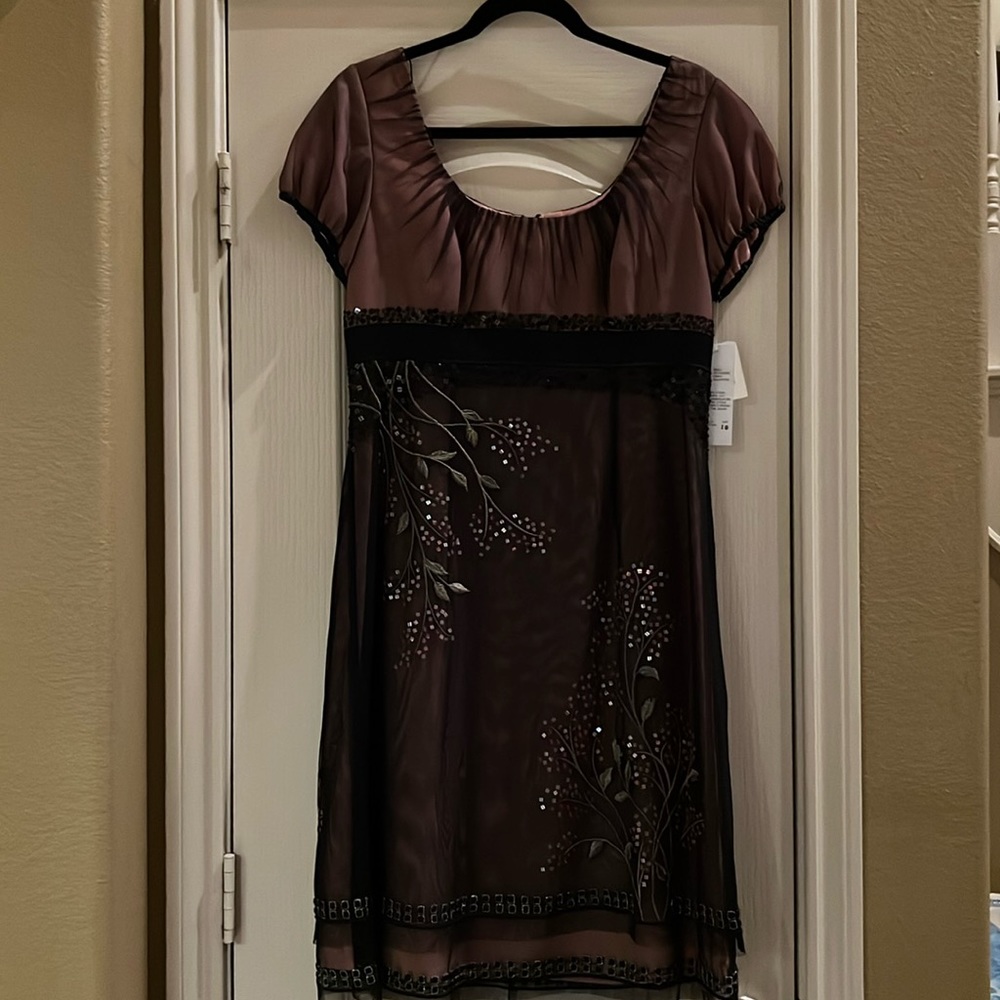 Adrianna Papell Size 10 Knee Length sequined and embroidered cocktail dress.